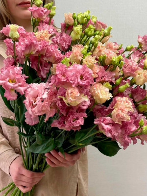 Цветы поштучно: Эустома розовая